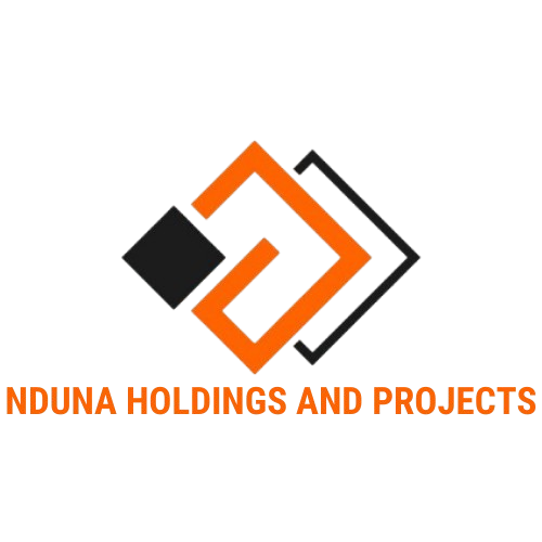 Nduna Holdings Logo